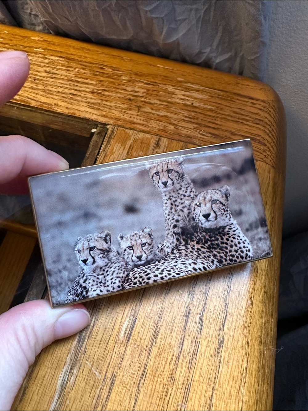 Chantecaille Cheetah Eye Trio Eyeshadow Palette Limited Edition - Picture 2 of 3